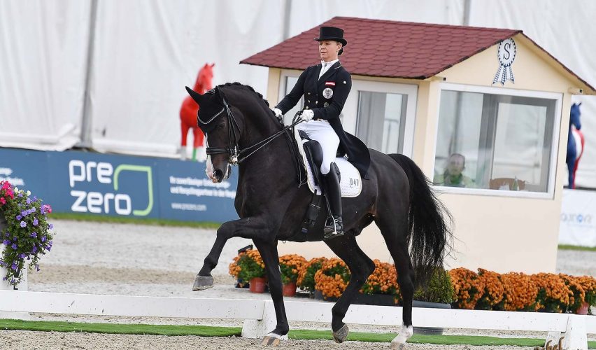 Olimpik 2020 Kuda Sakit Gigi Atlet Ekuestrian Austria Terpaksa Tarik Diri Sukanz