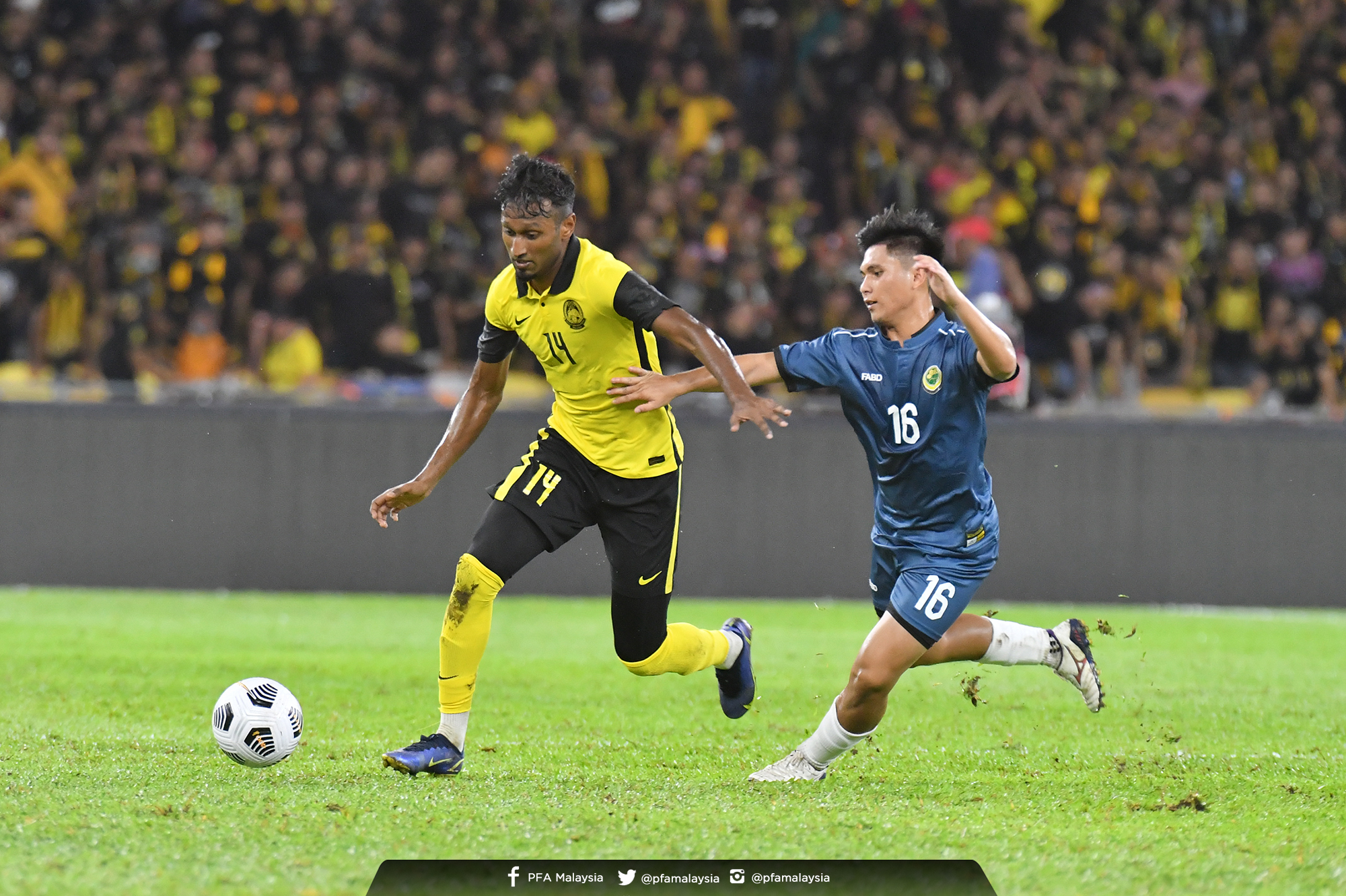 Syamer Tolak Bulan Madu, Syamer Pilih Harimau Malaya