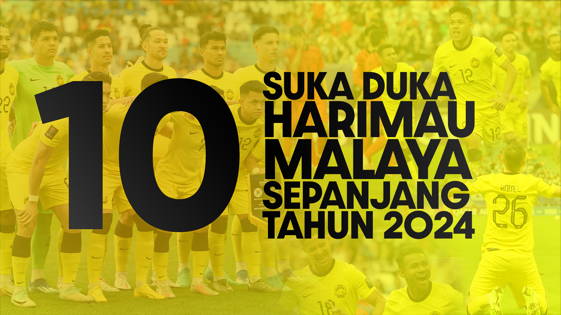 10 Suka Duka Harimau Malaya Sepanjang Tahun 2024